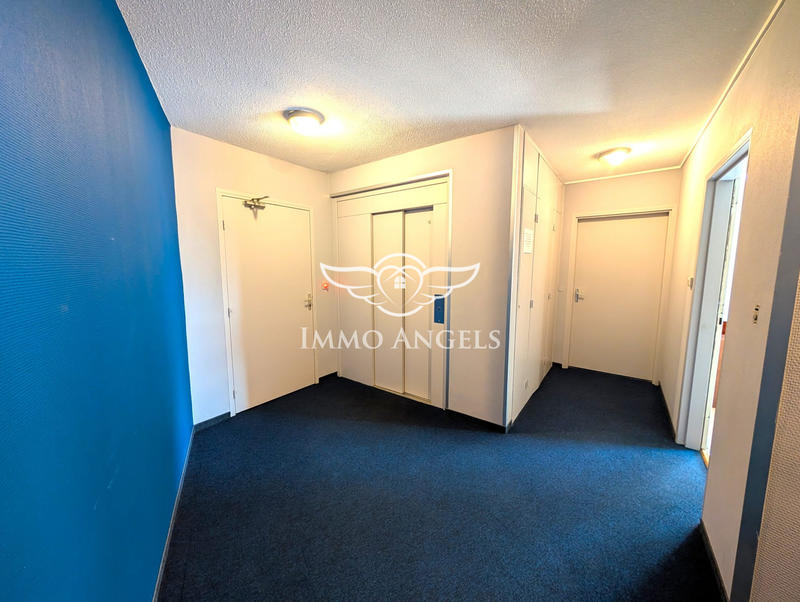 Appartement - 53 m² - 2 pièces