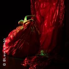 Paula Comitre / José Del Tomate - Aprés vous Madame + Concert