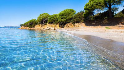 Propriété - 450 m² - 17 pièces