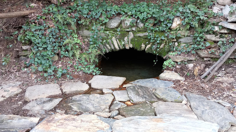 Terrain de loisirs - 31 439 m²