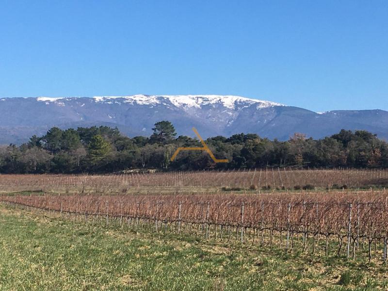 Maison en pierre - 273 m² - 7 pièces