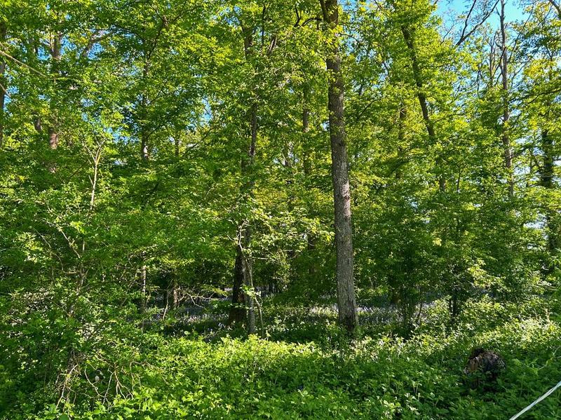 Maison de domaine équestre - 520 m² - 7 pièces