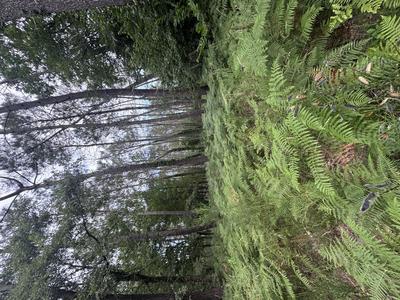 Terrain - 141 093 m²