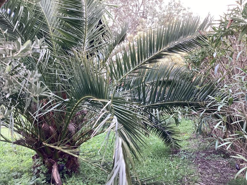 Maison - 40 m² - 2 pièces