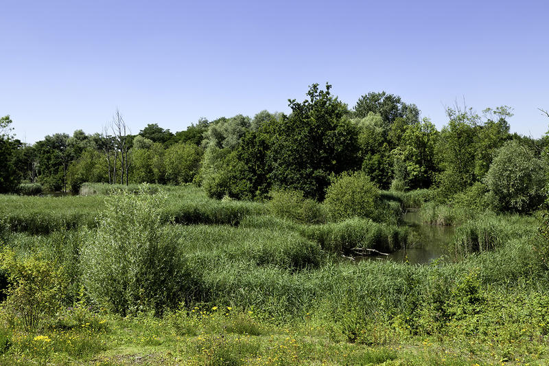 Bois des Hautois - Balade musicale, nature et patrimoine