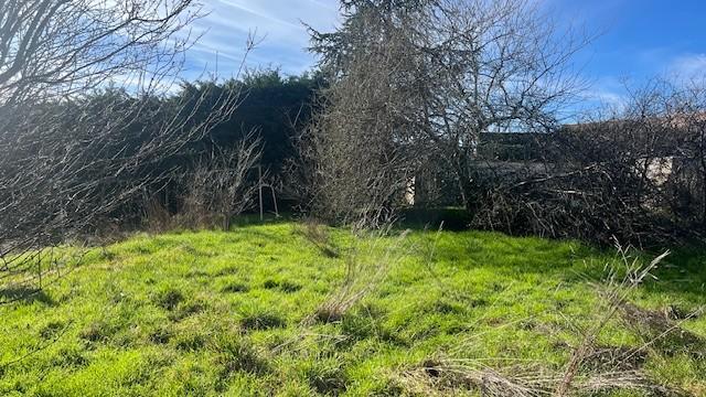 Terrain constructible - 1 378 m²