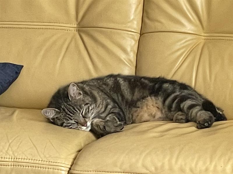 Maison ancienne - 240 m² - 10 pièces