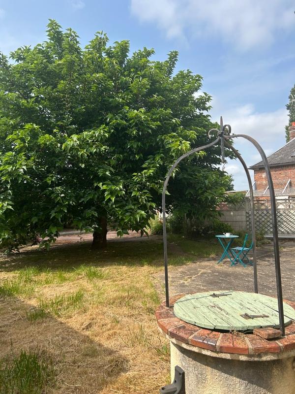 Maison - 230 m² - 10 pièces