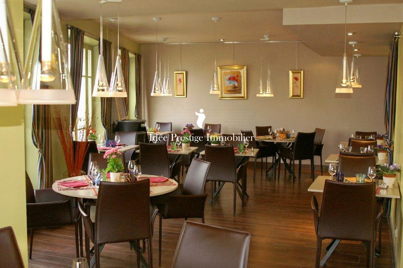 Maison ancienne - 513 m² - 18 pièces