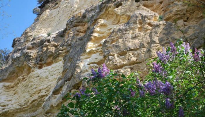 Découverte du site du Mugron - Roc de Thau avec Paleo Estuaire 33