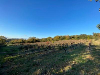 Terrain agricole - 7 770 m²