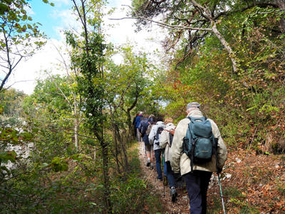 62ème marche populaire internationale