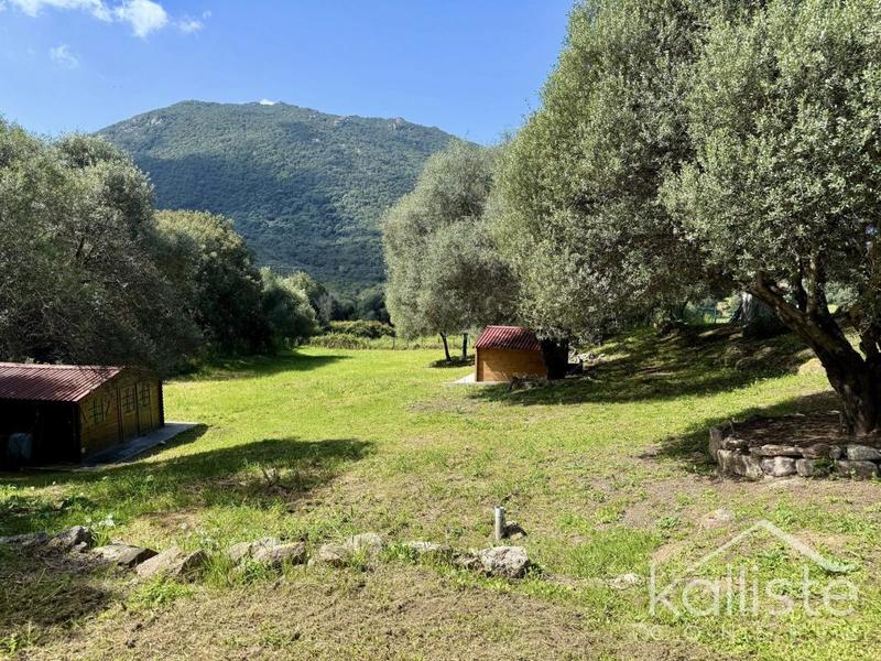 Maison - 194 m² - 7 pièces