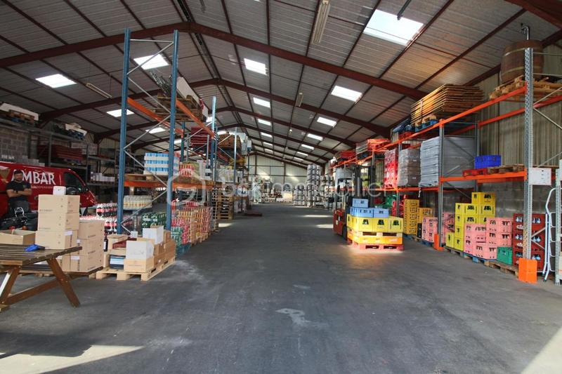 Entrepôt - 890 m² - 6 pièces
