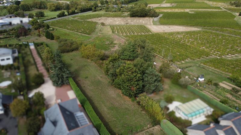 Terrain constructible - 1 521 m²