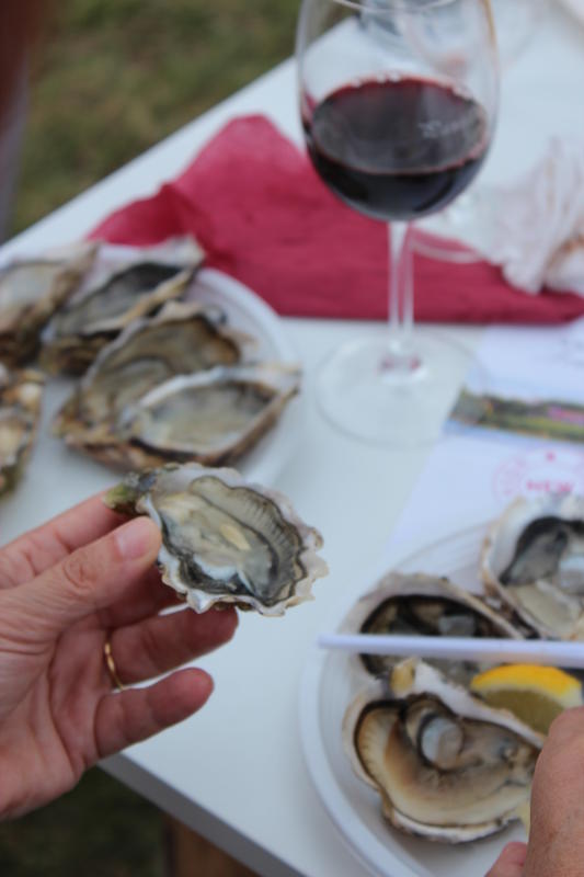 Music and Cook and Wine