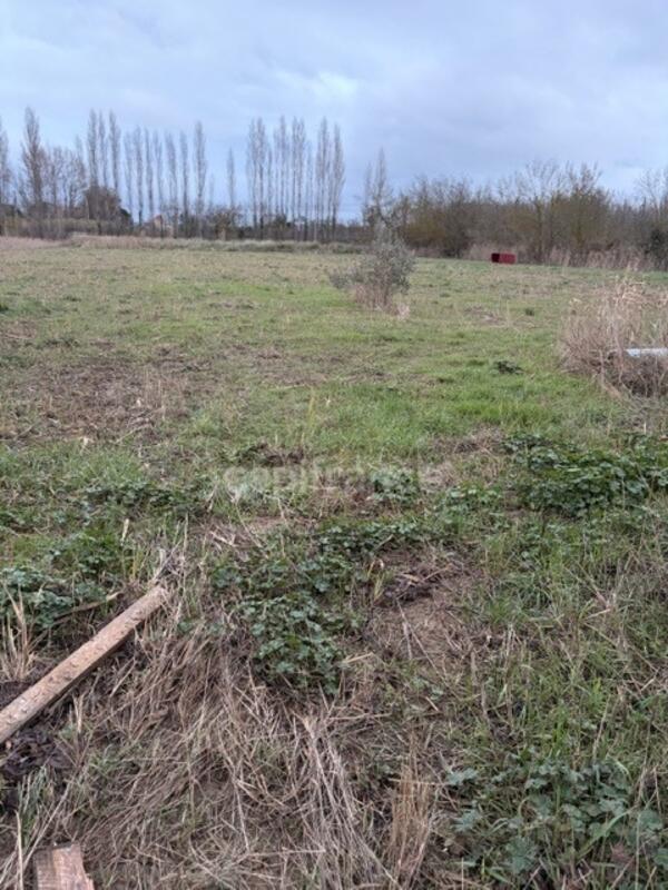 Terrain agricole - 6 250 m²