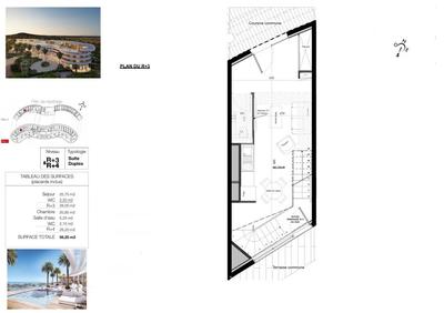 Appartement - 56 m² - 2 pièces
