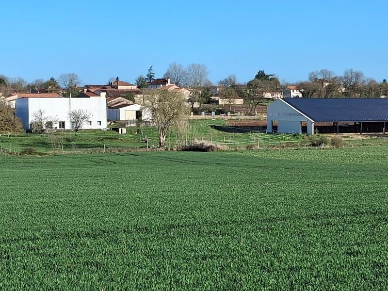 Maison - 146 m² - 4 pièces