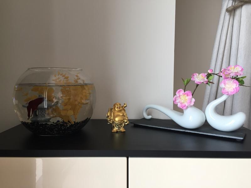 La Santé c'est le Pied !