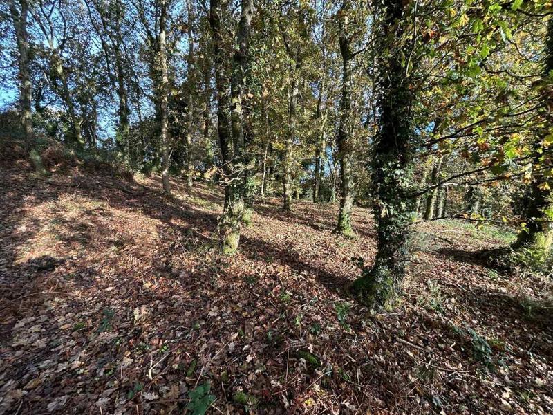 Maison - 138 m² - 7 pièces