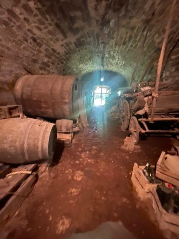 Immeuble - 1 000 m² - 17 pièces