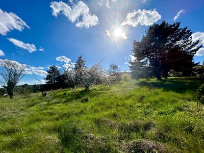Terrain constructible - 1 231 m²