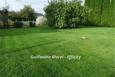 Terrain - 464 m²