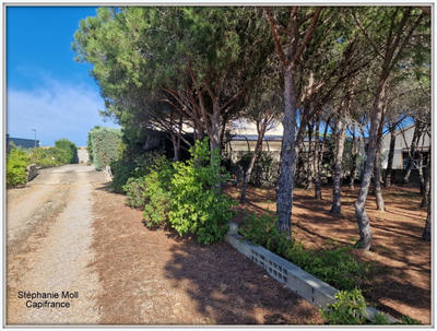 Maison - 524 m² - 12 pièces