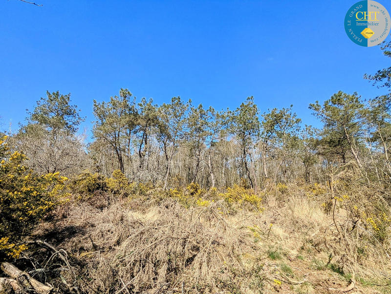 Terrain - 24 900 m²