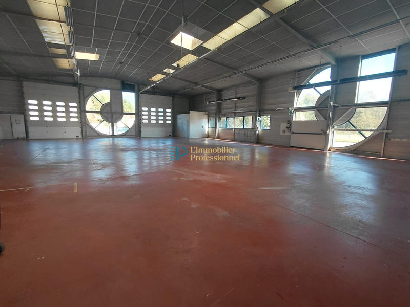 Local d'activités - 940 m²