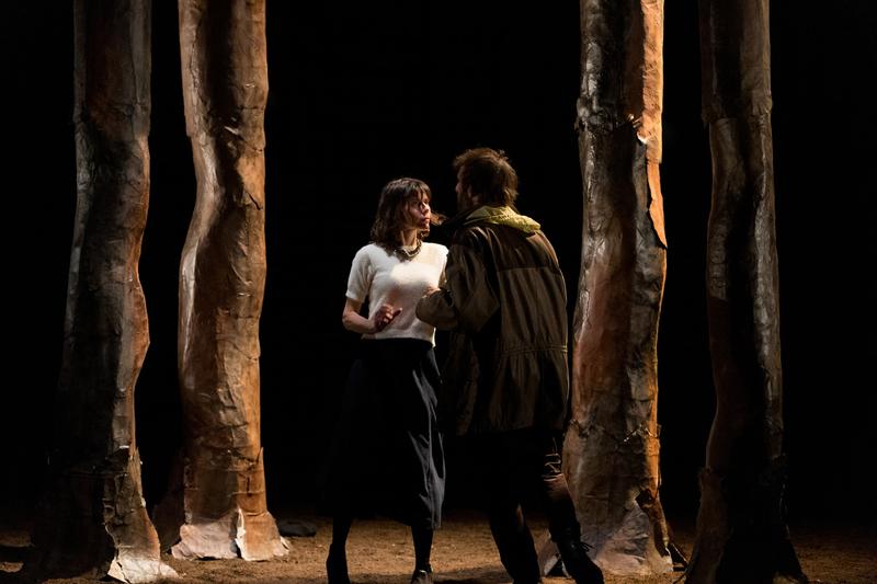 Les Meutes (théâtre)