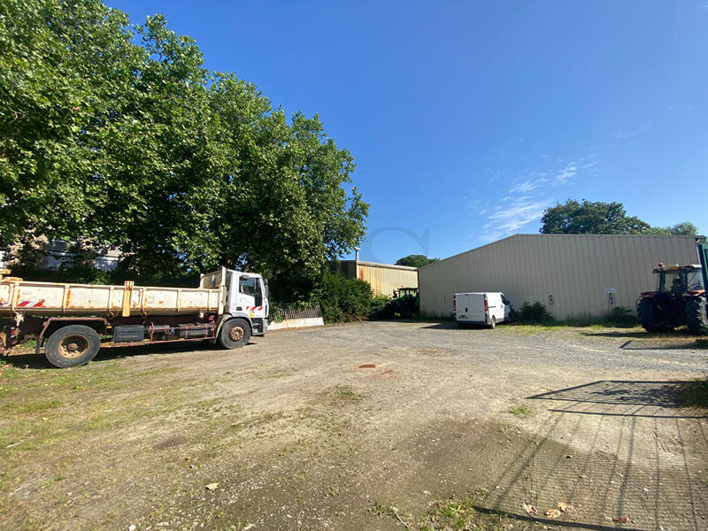 Local d'activité / Entrepôt - 546 m²