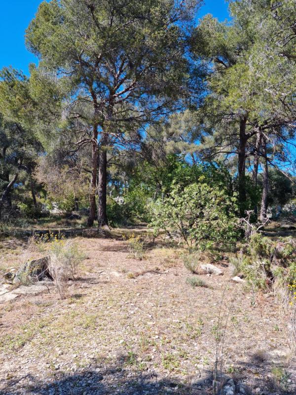 Terrain constructible - 1 058 m²