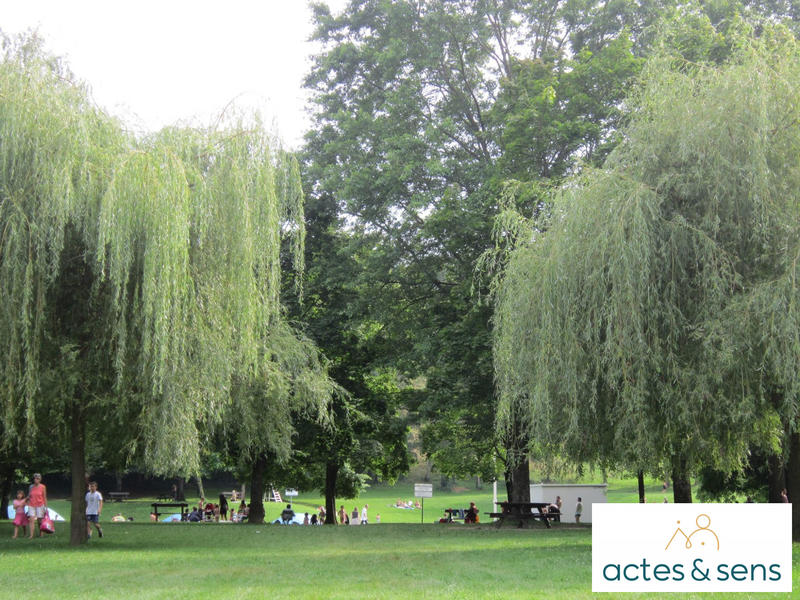 Appartement - 84 m² - 4 pièces