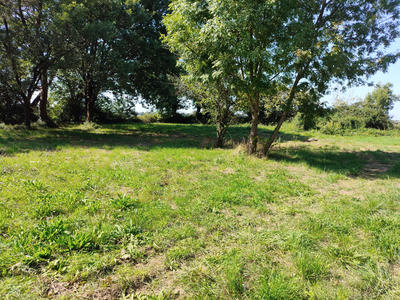 Terrain constructible - 1 055 m²
