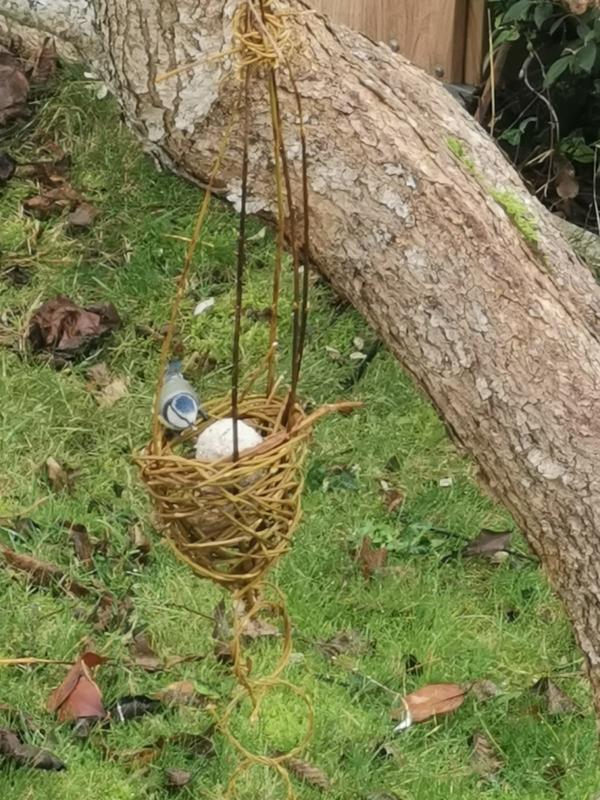 Atelier mangeoire végétale