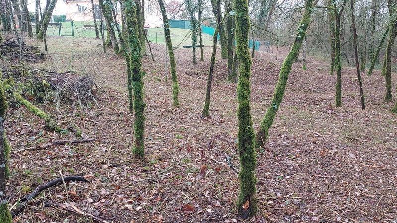 Terrain constructible - 1 255 m²