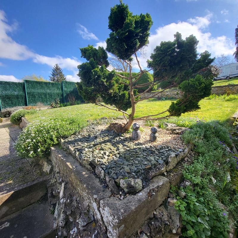 Viager - Maison ancienne - 51 m² - 3 pièces