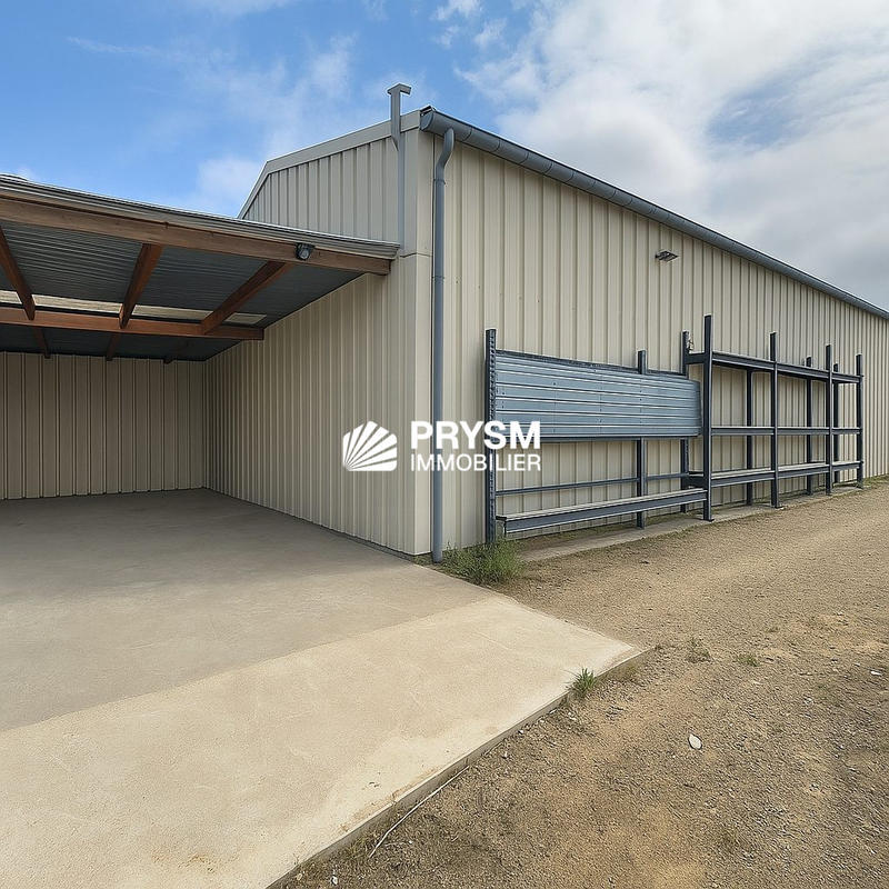 Local d'activités - 242 m²