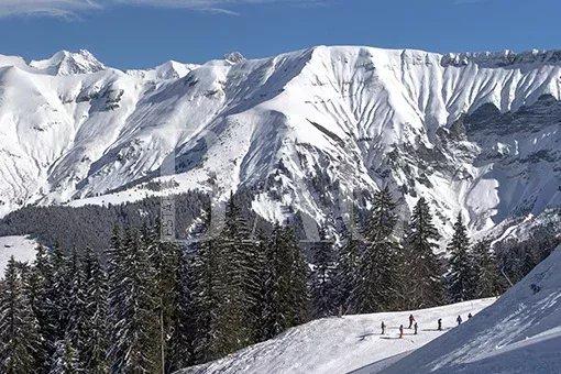 Châlet - 300 m² - 9 pièces