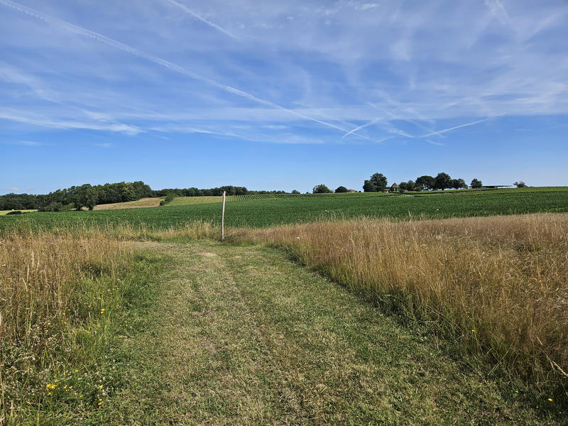 Terrain - 46 160 m²