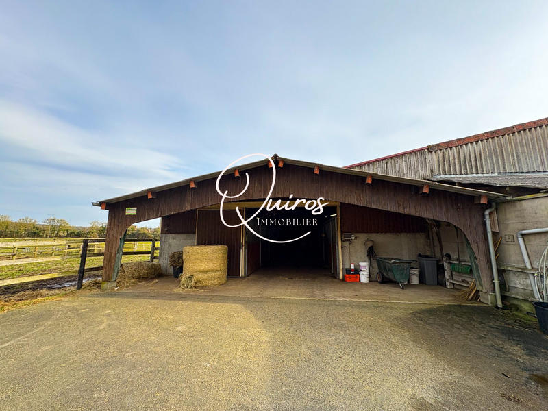 Maison - 287 m² - 10 pièces