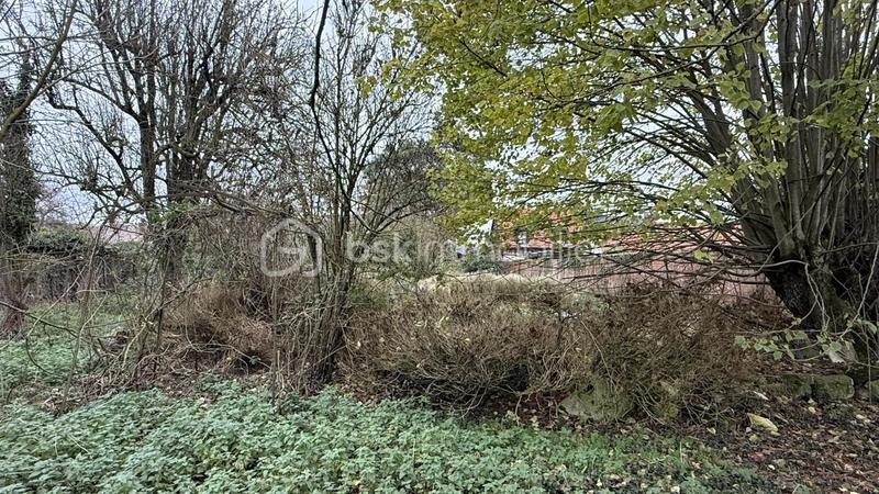 Maison - 890 m² - 8 pièces