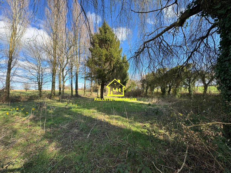 Terrain de loisirs - 1 800 m²