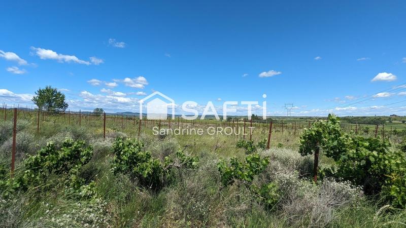 Terrain agricole - 7 477 m²