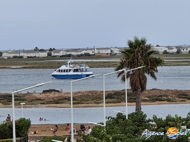 Appartement - 75 m² - 5 pièces