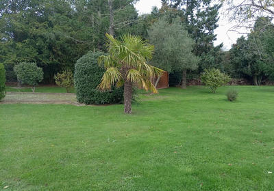 Terrain - 600 m²