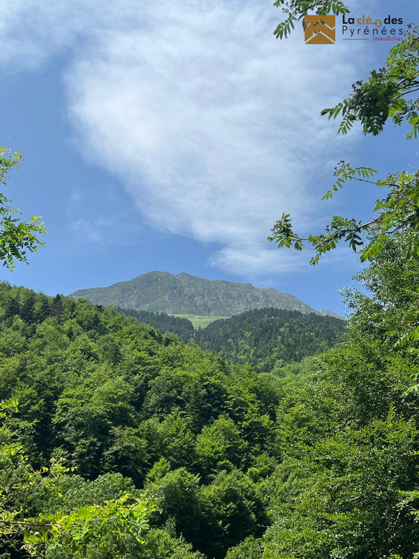 Maison ancienne - 120 m² - 3 pièces