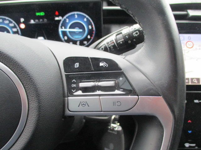 Hyundai Tucson Business Mild-Hybrid 2wd 1.6 Crdi 135 cv Bva7